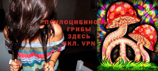 не бодяженный Алзамай