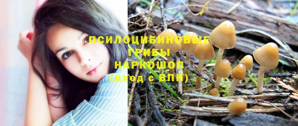 не бодяженный Алзамай