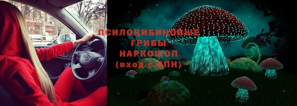 дурь Осташков