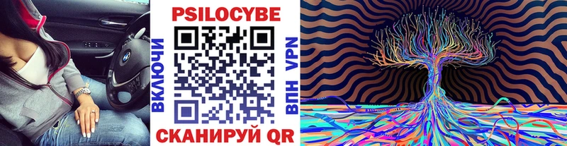 МЕГА зеркало это телеграм Галлюциногенные грибы мицелий Белореченск